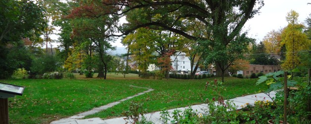 Fall Landscaping Tips